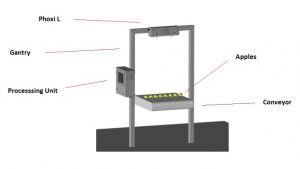 automated removal of apple cores